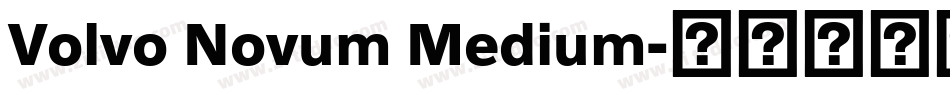 Volvo Novum Medium字体转换